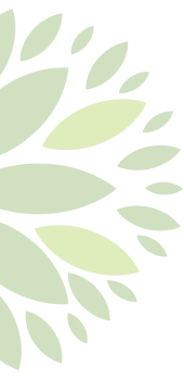 Solaris Ambiental - flor